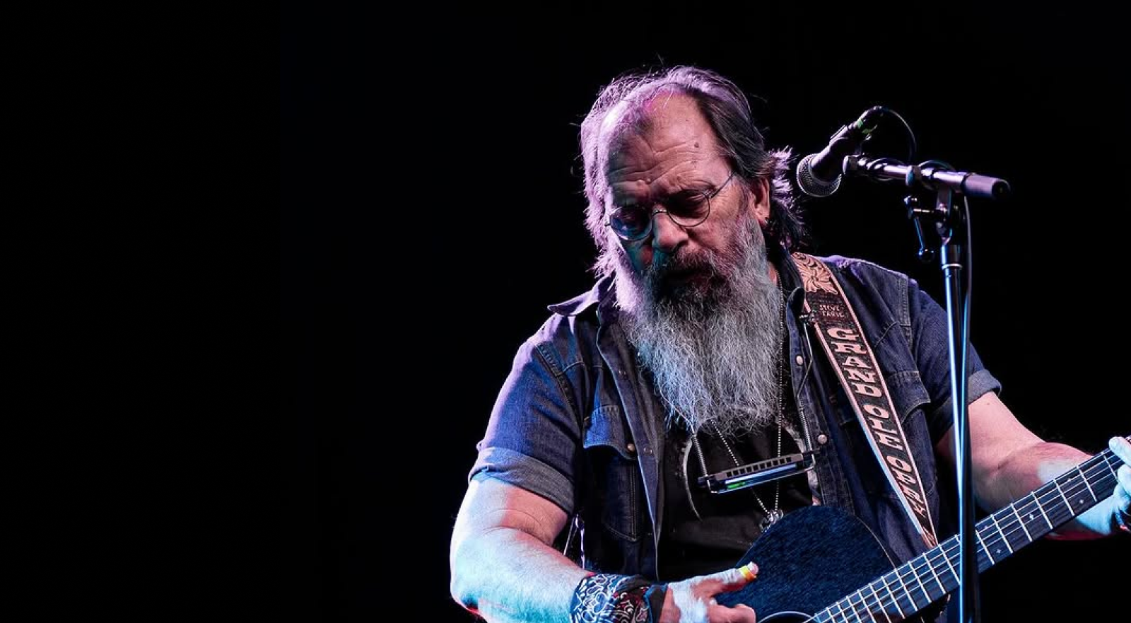 Steve Earle